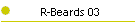 R-Beards 03